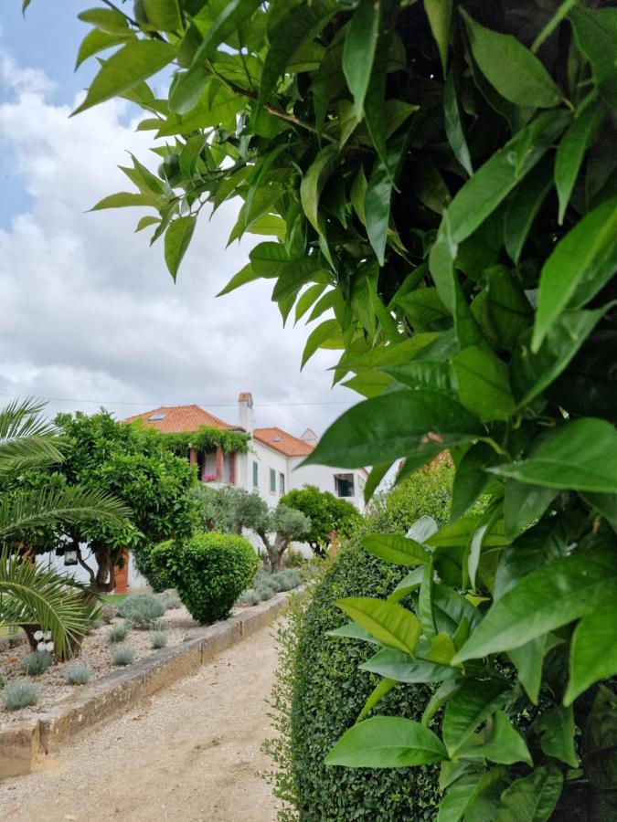 Casa Nikana Turcifal Dış mekan fotoğraf